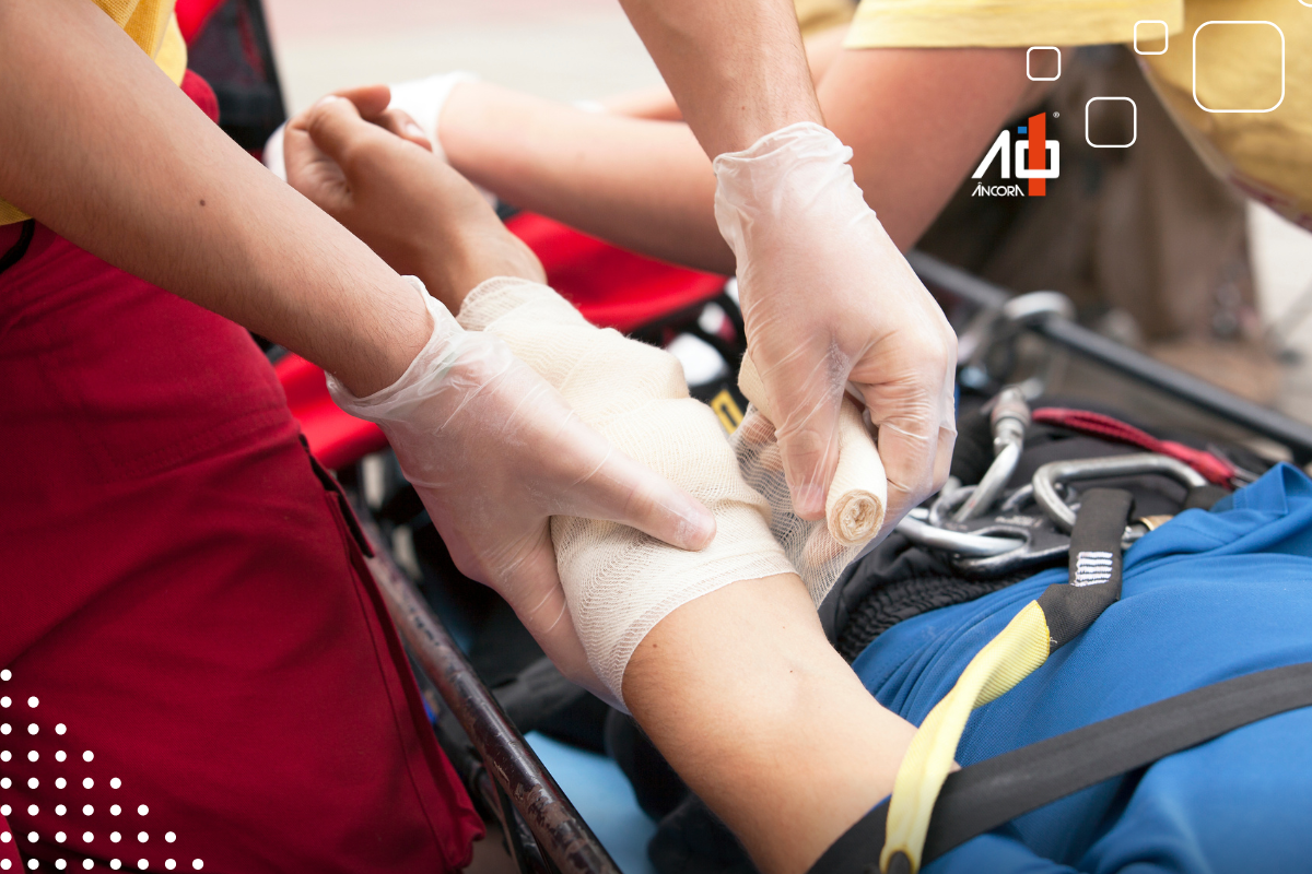 Descrição da imagem