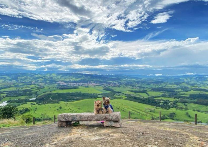 Descrição da imagem