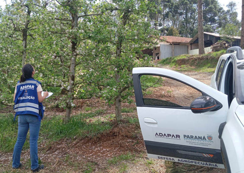 Descrição da imagem