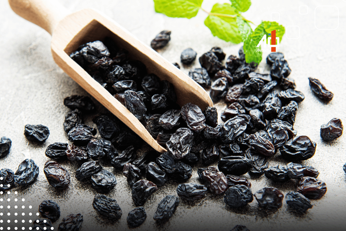 Descrição da imagem