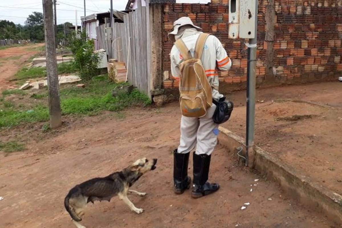 Descrição da imagem