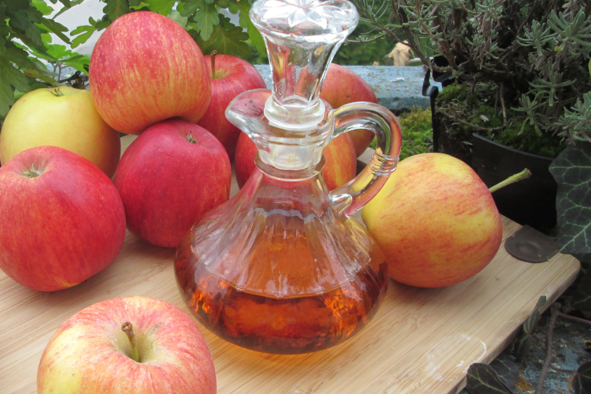 Descrição da imagem