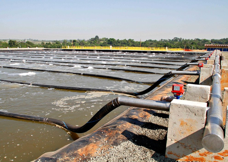 Descrição da imagem