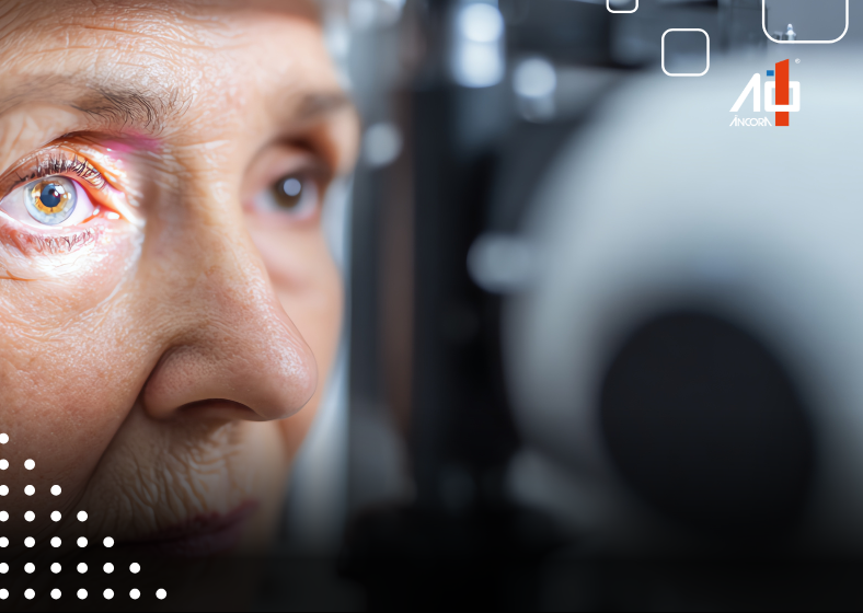 Descrição da imagem