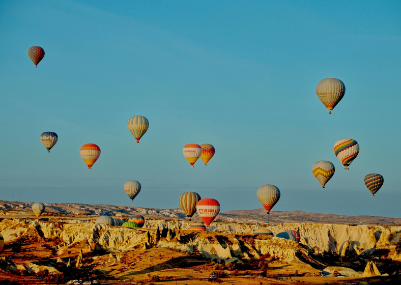 Descrição da imagem