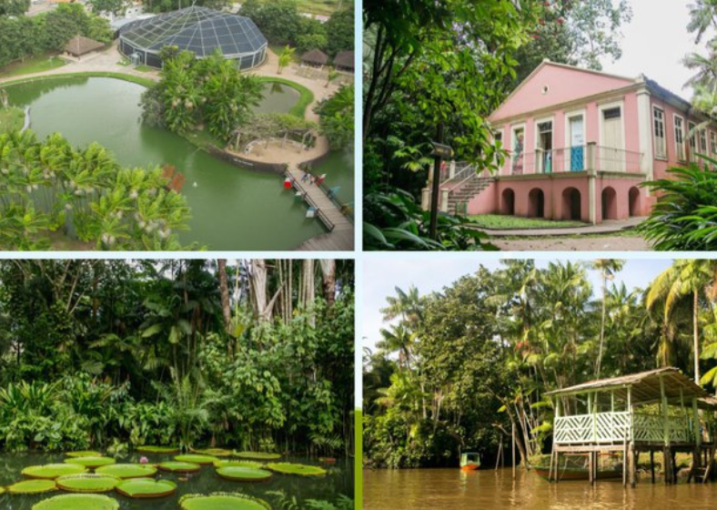 Descrição da imagem