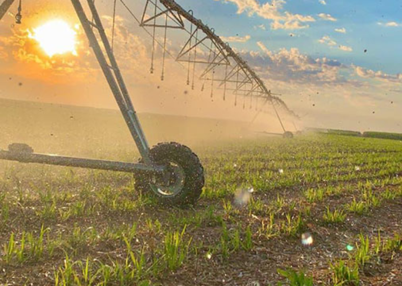 Descrição da imagem