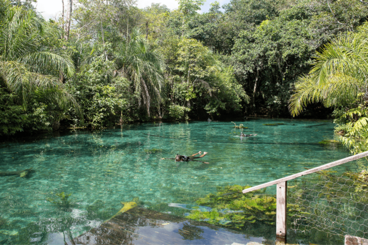 Descrição da imagem