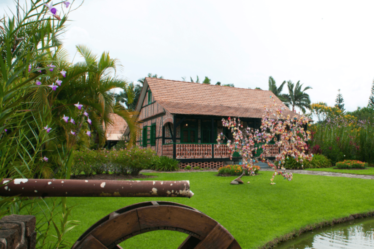 Descrição da imagem