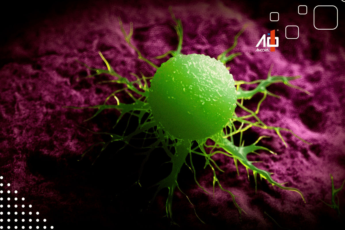 Descrição da imagem