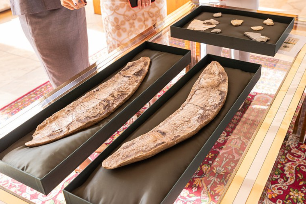 Descrição da imagem