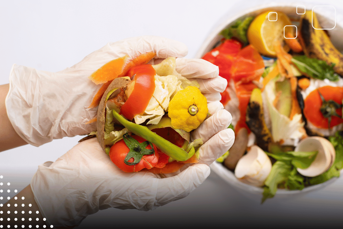 Descrição da imagem