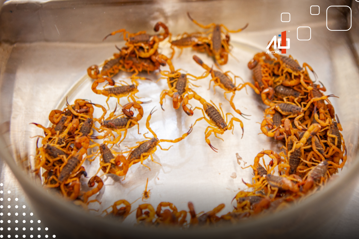 Descrição da imagem