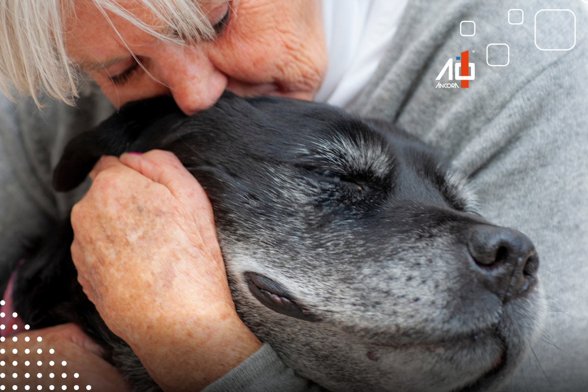 Descrição da imagem