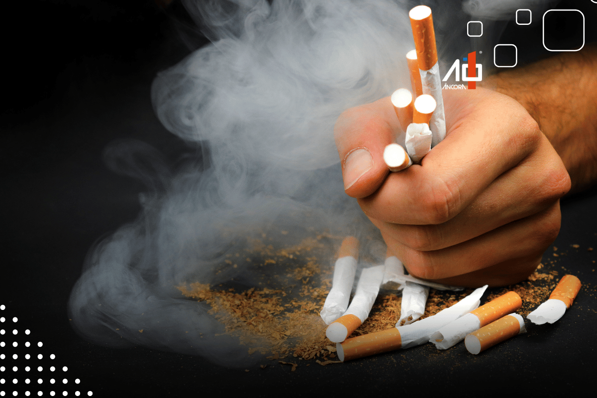 Descrição da imagem