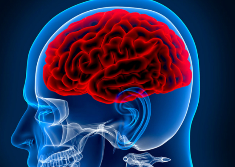 Descrição da imagem