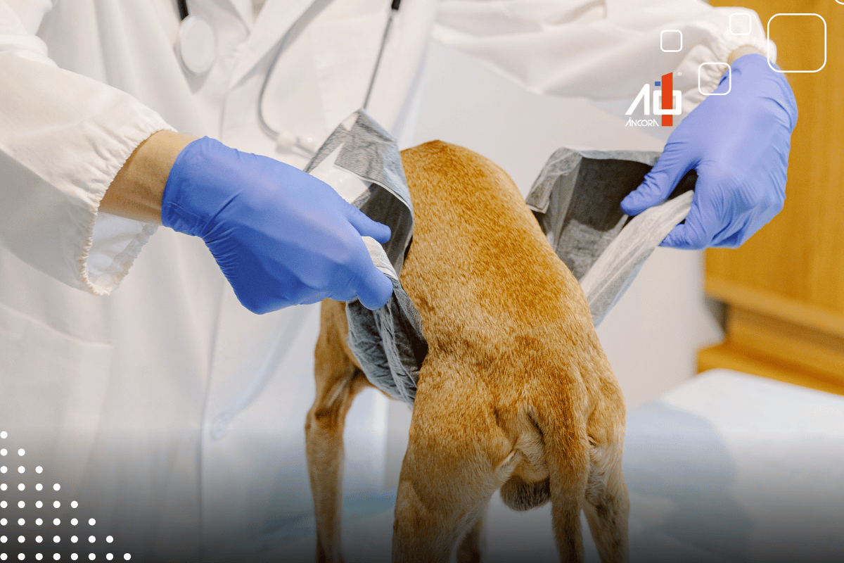 Descrição da imagem