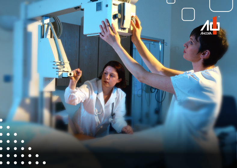 Descrição da imagem