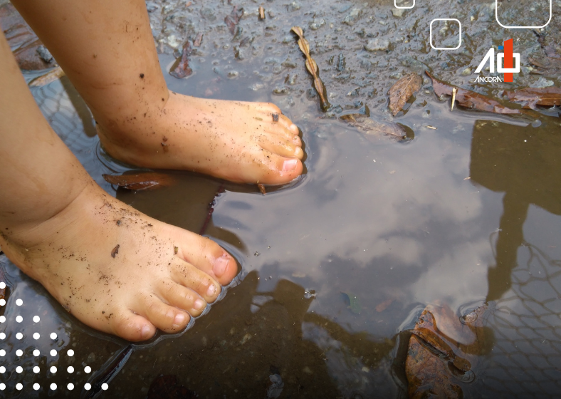 Descrição da imagem