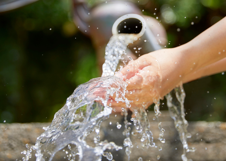 Descrição da imagem