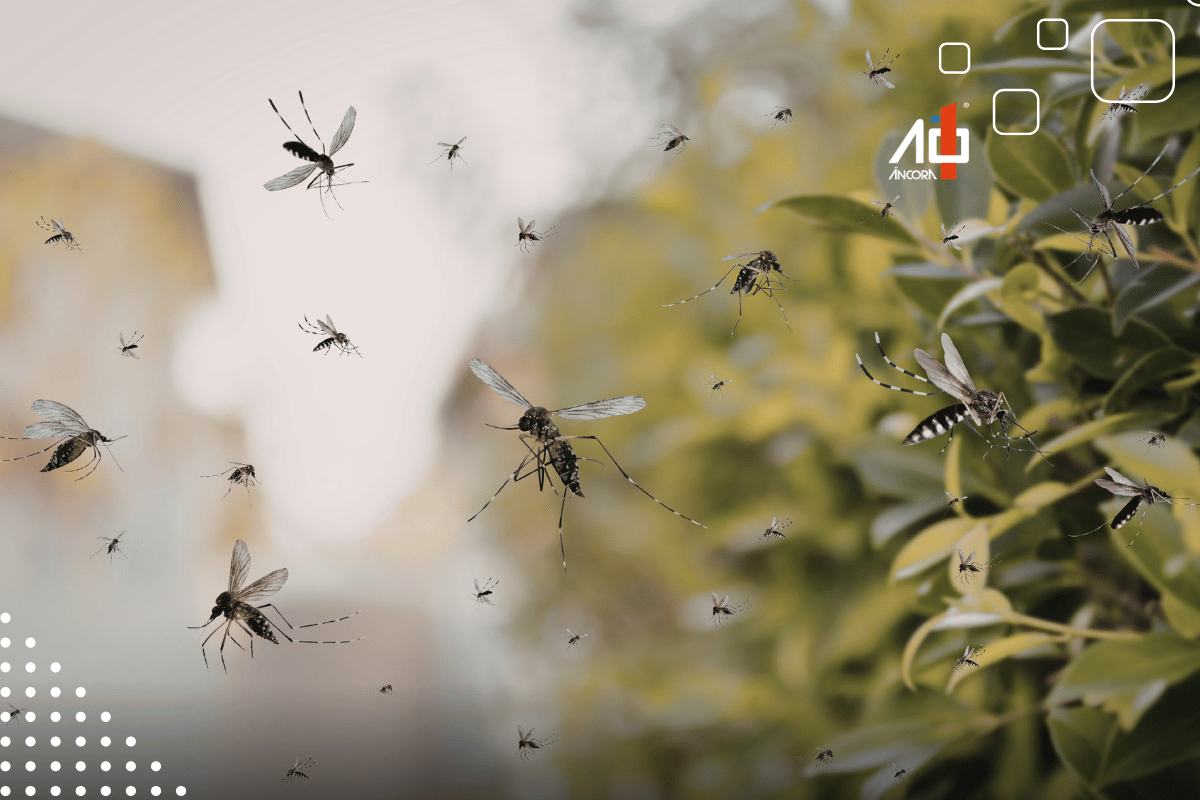 Descrição da imagem