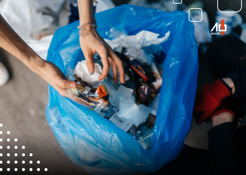 Descrição da imagem