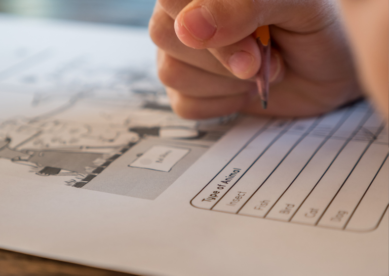 Descrição da imagem