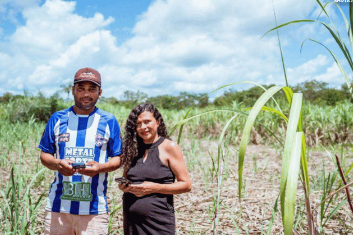 Descrição da imagem