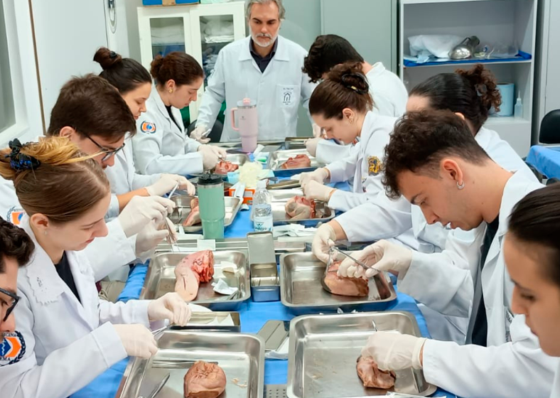 Descrição da imagem