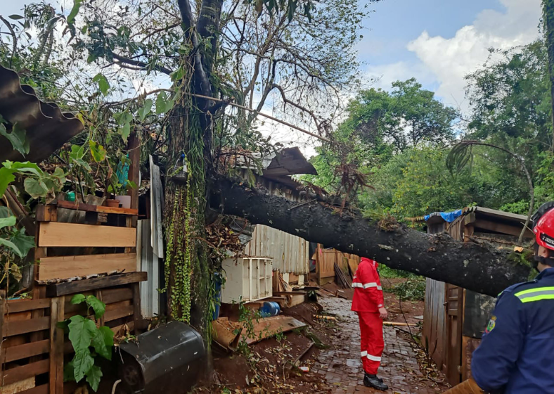 Descrição da imagem