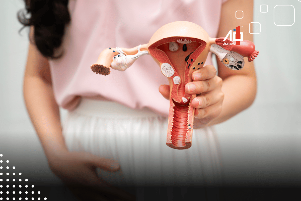 Descrição da imagem