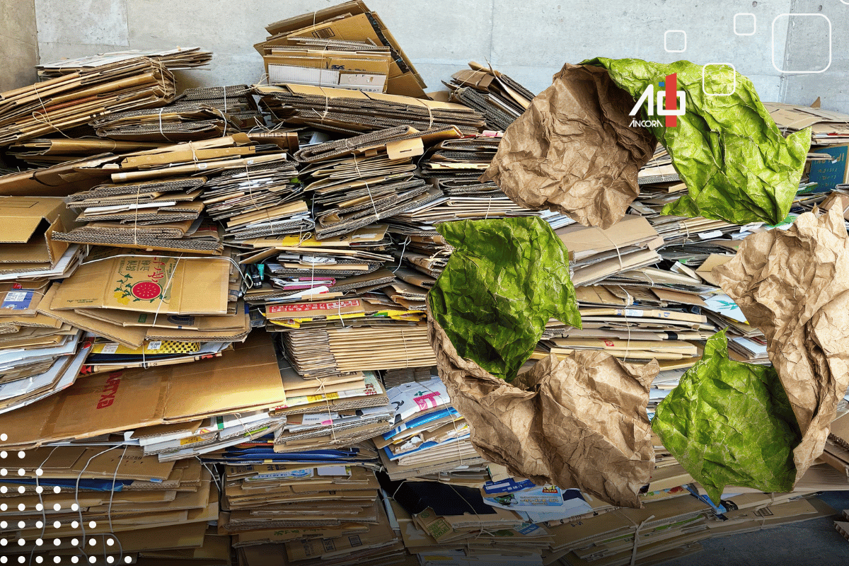 Descrição da imagem