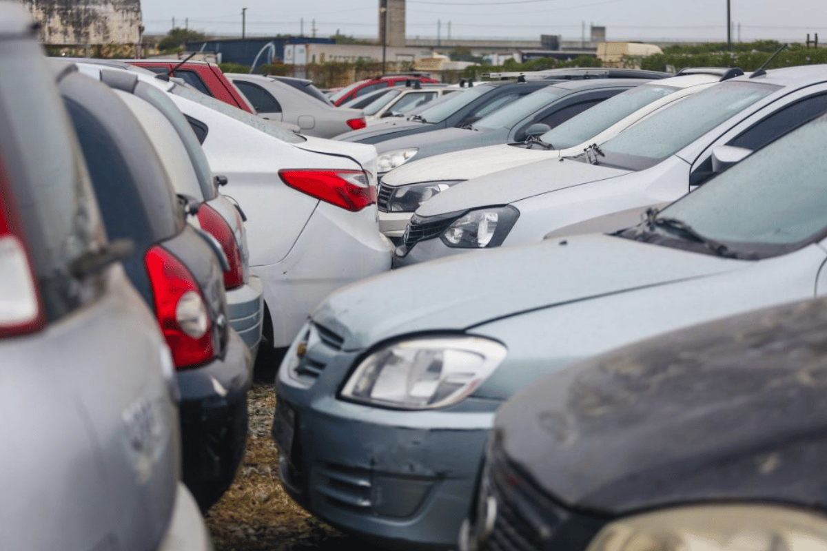 Descrição da imagem