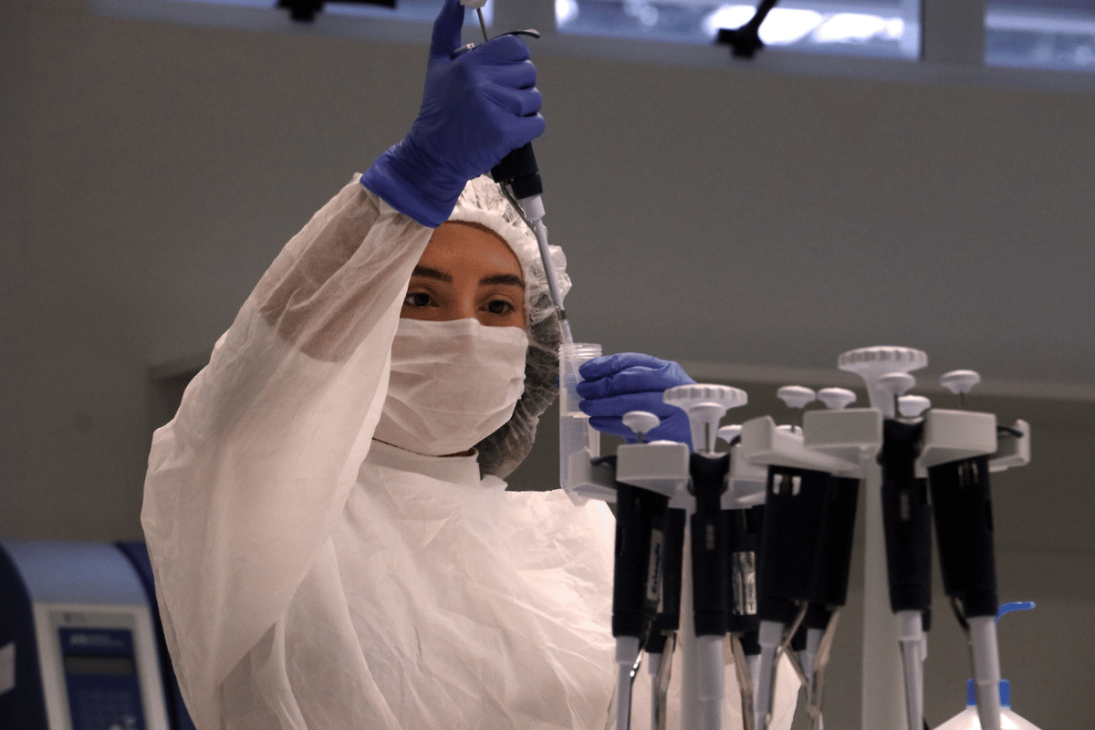 Descrição da imagem