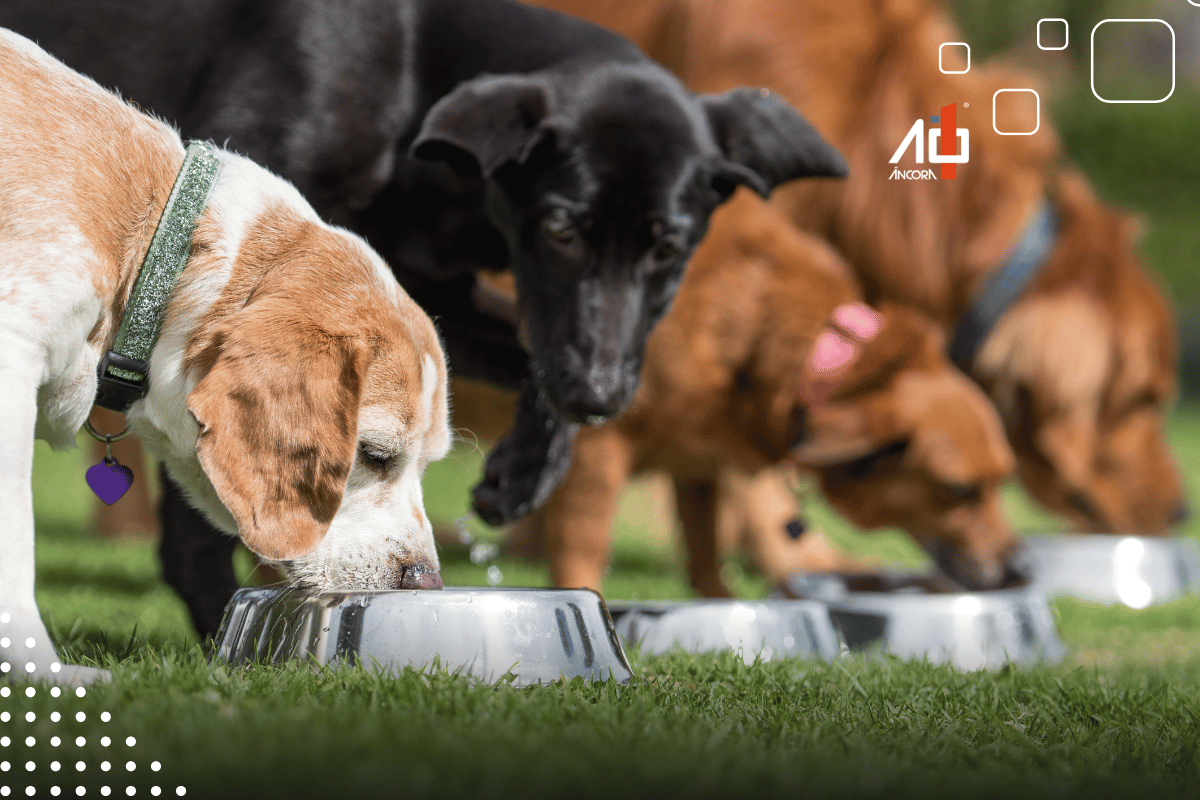 Descrição da imagem