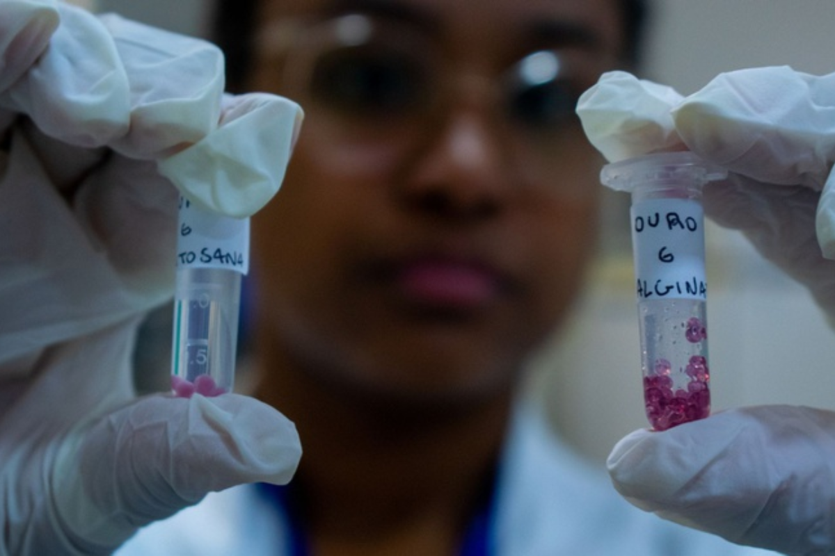 Descrição da imagem