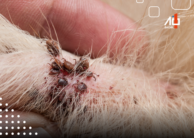 Descrição da imagem