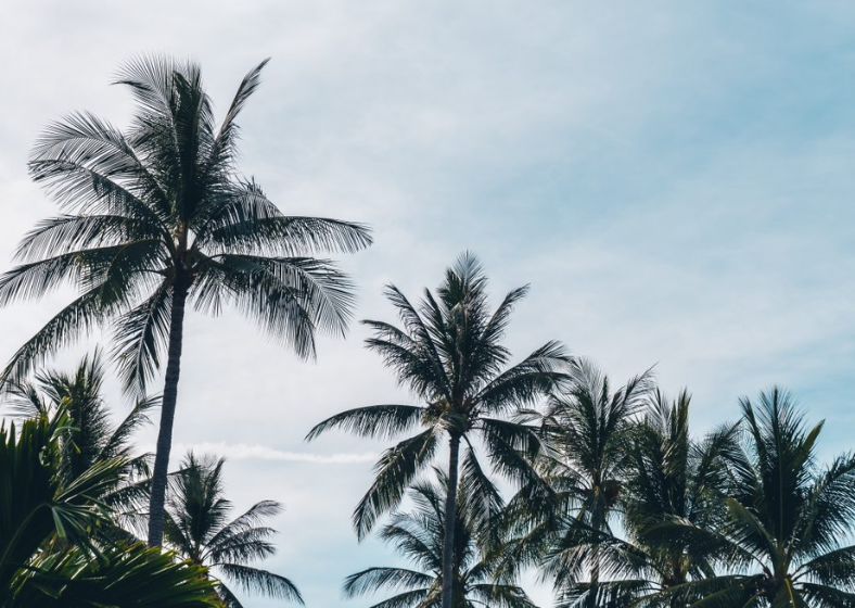 Descrição da imagem