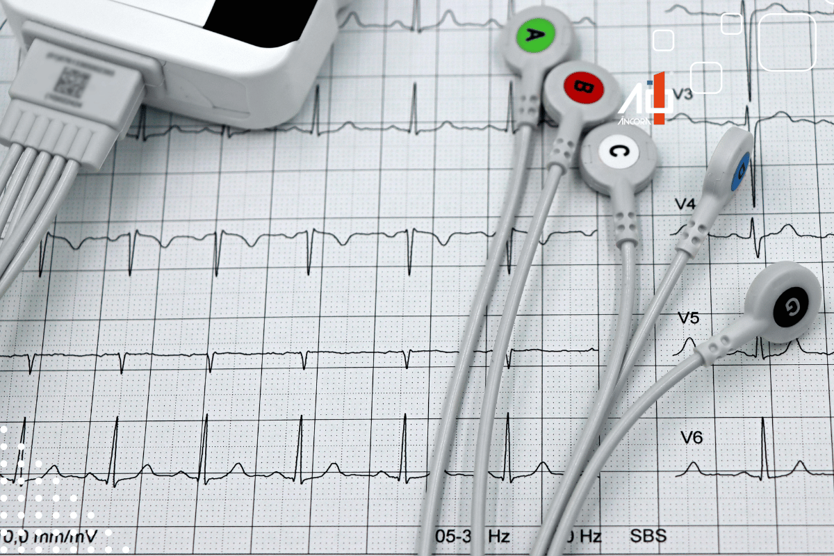 Descrição da imagem