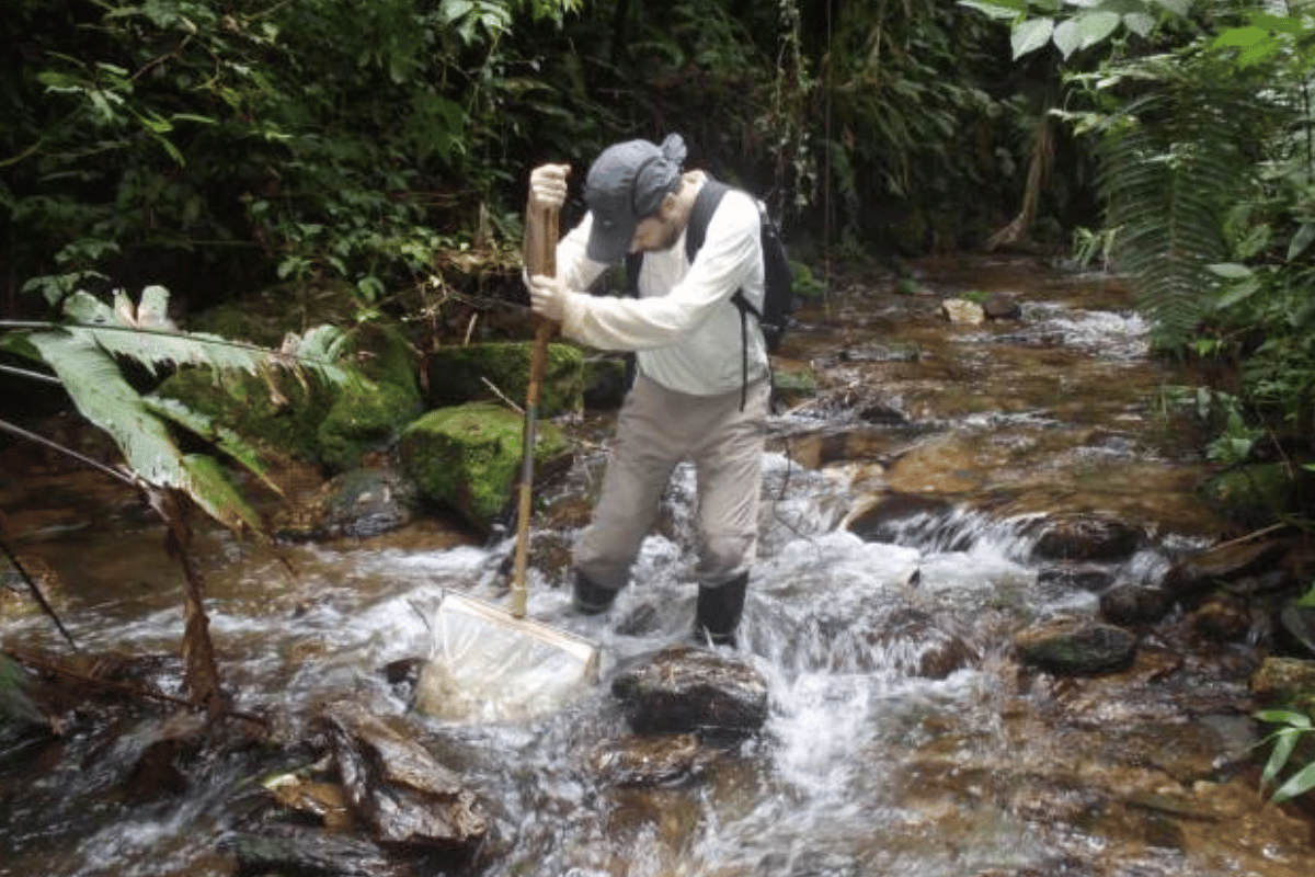 Descrição da imagem