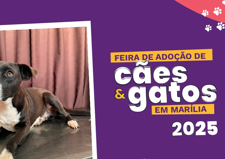 Descrição da imagem