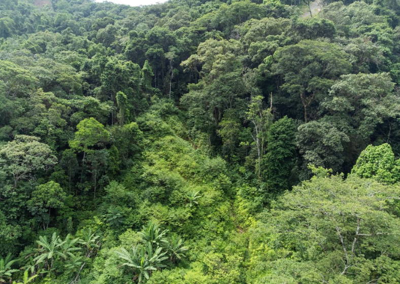 Descrição da imagem