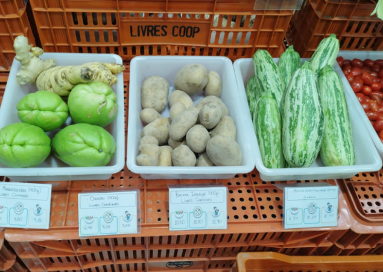 Descrição da imagem