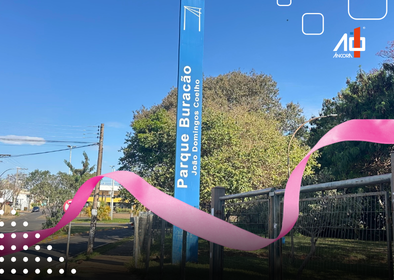 Descrição da imagem