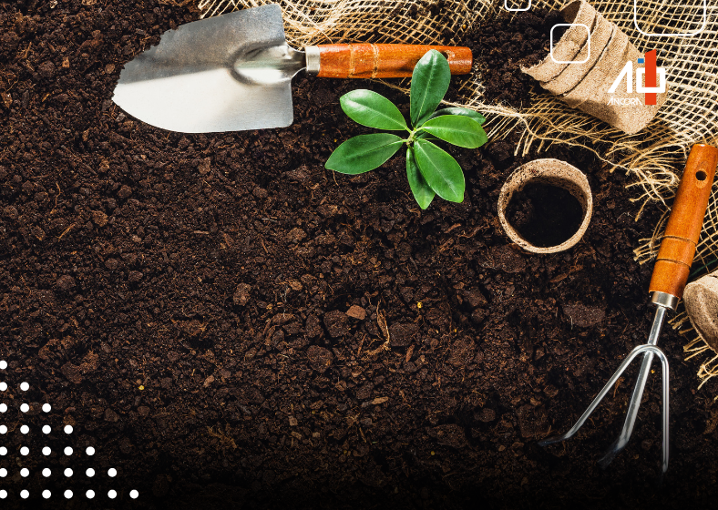 Descrição da imagem