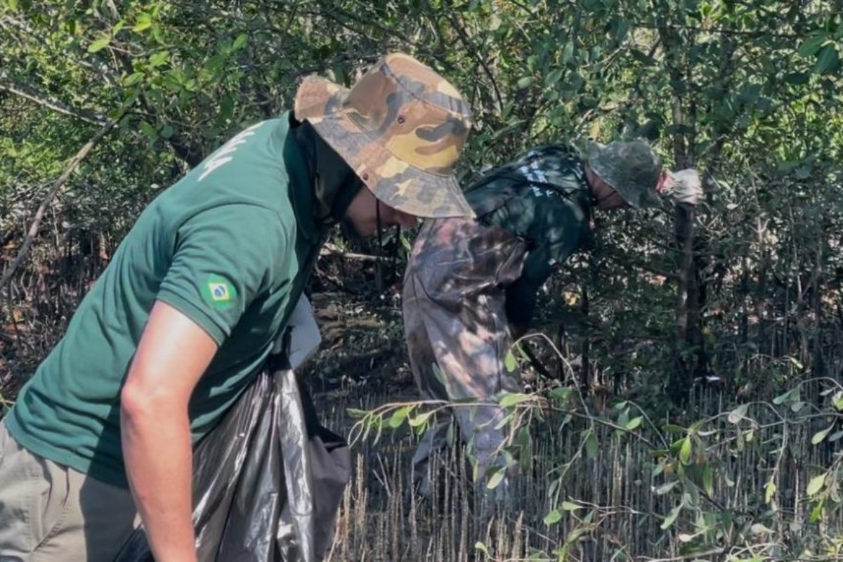 Descrição da imagem