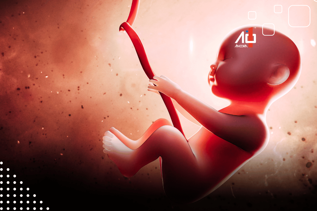 Descrição da imagem