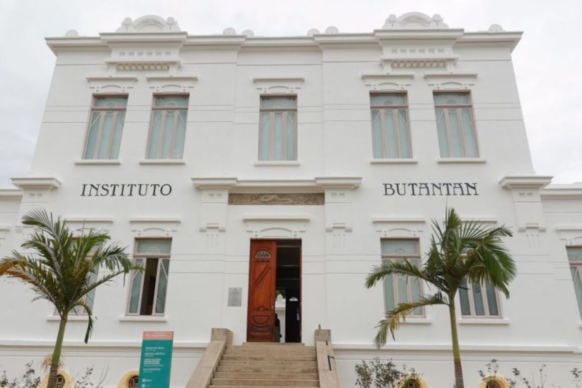 Descrição da imagem