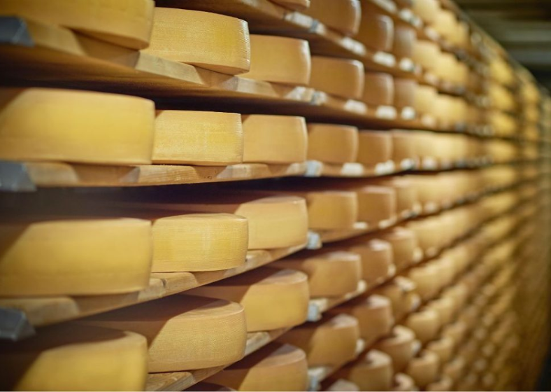 Descrição da imagem