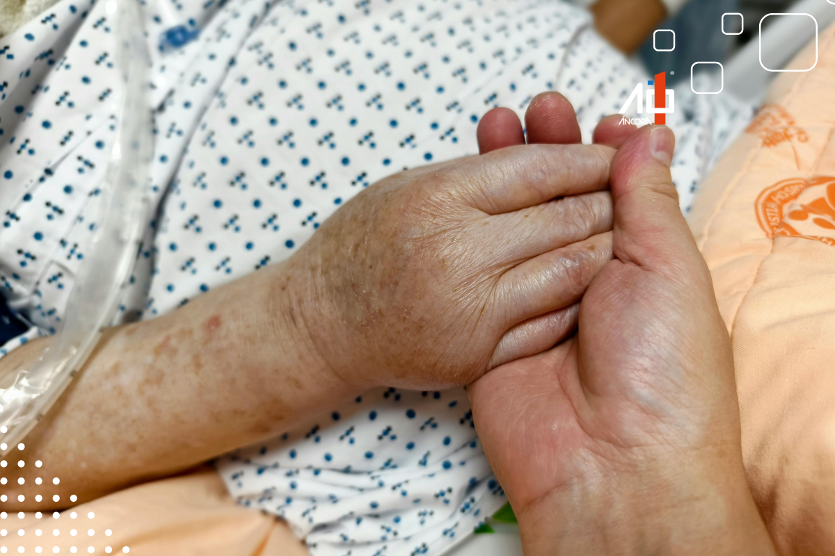 Descrição da imagem